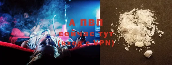 индика Протвино
